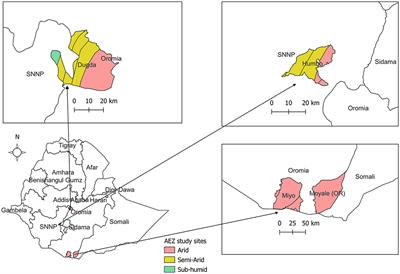 Animal welfare knowledge, attitudes, and practices among livestock holders in Ethiopia